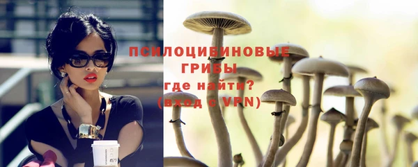 героин Алексин